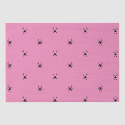 素朴な古いクモ 薄葉紙 (正面)