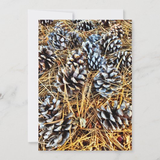 素朴な国のマツ円錐形の迷彩柄の結婚式招待状 招待状 (裏面)