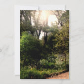 素朴な小径の花々に囲まれた神秘の森のスイート16 招待状 (裏面)