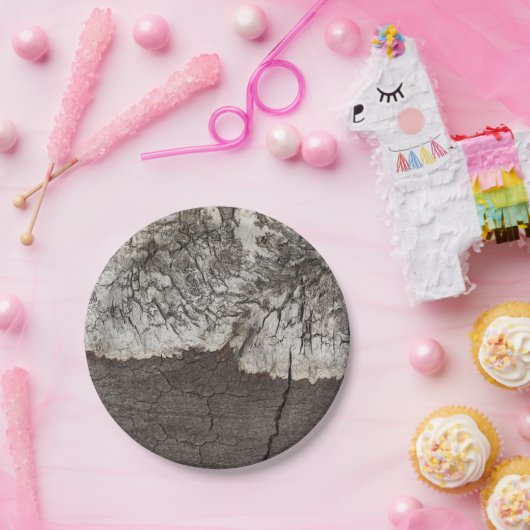 素朴な木製の樺の木吠え声の国 ペーパープレート (パーティー)