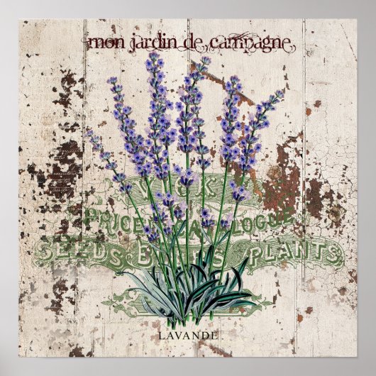 素朴な木製パネルのラベンダー ポスター (正面)