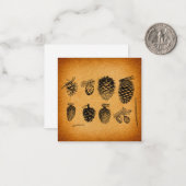 素朴な松ぼっくり 松ぼっくりのアートワーク アンティークデザイン ノートカード (正面/裏面インサイチュ)