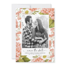 素朴な桃色の水彩花菖蒲の写真