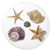 素朴な沿岸ビーチシックなシーシェルヒトデ セラミックノブ (正面)