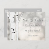 素朴な白樺の木の冬の雪の景色のポストカード 保存日付付き 案内ポストカード (正面/裏面)