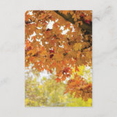 素朴な秋の木とイルミネーションが結婚式を彩る エンクロージャーカード (裏面)