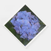 素朴な紫のヤグルマギク（Hydrangea macrophylla） (コーナー)