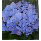 素朴な紫のヤマアジサイ（Hydrangea macrophylla） シャワーカーテン (正面)
