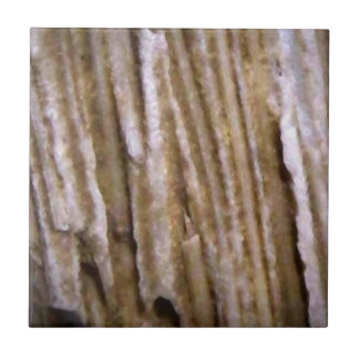 素朴な西部の化石木デザイナータイル タイル