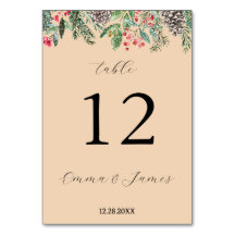 素朴な赤いホーリーと松ぼっくり