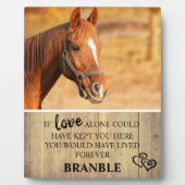 素朴な馬のメモリアル写真 フォトプラーク (正面)