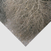 素朴なTumbleweedのティッシュペーパー 薄葉紙 (詳細)