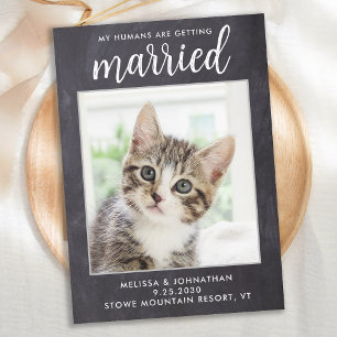 素朴の結婚カスタムシンプルPET PHOTO CATドッグ セーブザデート