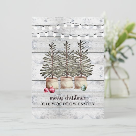 素朴クリスマスツリー (スタンド正面)