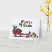 素朴シーズー(犬)Tzuクリスマス カード (黄色い花)