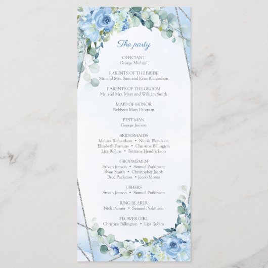 素朴ダスティブルーフローラ銀幾何学模様 プログラム (裏面)