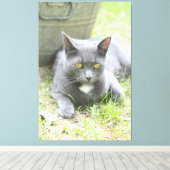 素朴デザイングレイ猫 キャンバスプリント (インサイチュ (ウッドフロア))