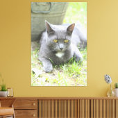 素朴デザイングレイ猫 キャンバスプリント (インサイチュ (リビング))