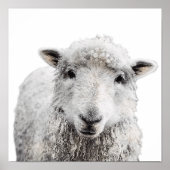 素朴ヒツミニマリストモダンカントリーファームハウス ポスター (正面)