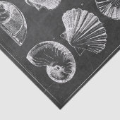 素朴ビーチフランスの国の黒板の貝殻 薄葉紙 (詳細)