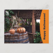 素朴フォトオレンジ色カボピンクの休日はがき シーズンポストカード (正面)