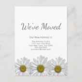 素朴フローラ白デイジー移モダン動 案内ポストカード (正面)