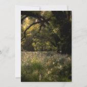 素朴フローラ魅惑の森の花Sweet 16 招待状 (裏面)