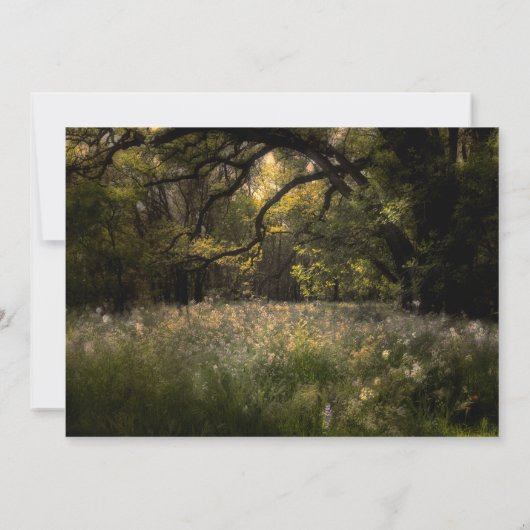 素朴フローラ魅惑の森結婚の木の森 招待状 (裏面)