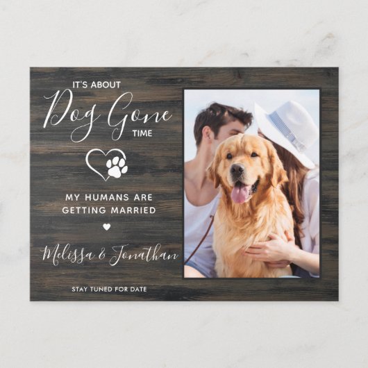 素朴写真おもしろいPET結婚の犬婚約 案内ポストカード (正面)