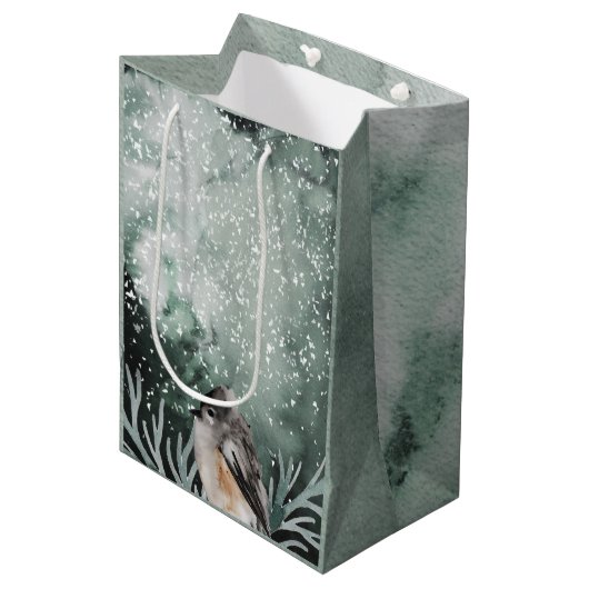 素朴冬と居心地の良いバードクリスマスホリデー ミディアムペーパーバッグ (正面アングル)