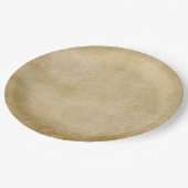 素朴擦り切れた紙プレート ペーパープレート (アングル)