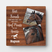 素朴木ウマ科の遺跡馬碑 フォトプラーク (正面)