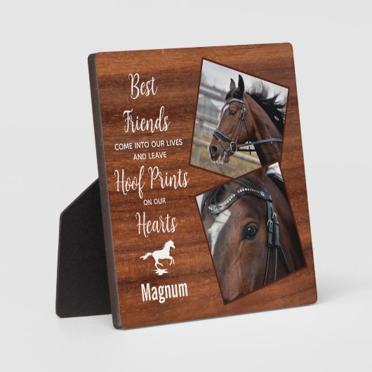 素朴木ウマ科の遺跡馬碑 フォトプラーク (正面)