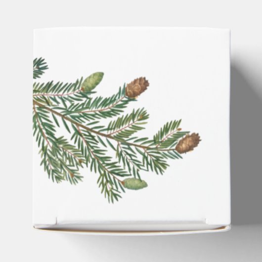 素朴松林結婚林 フェイバーボックス (上部)