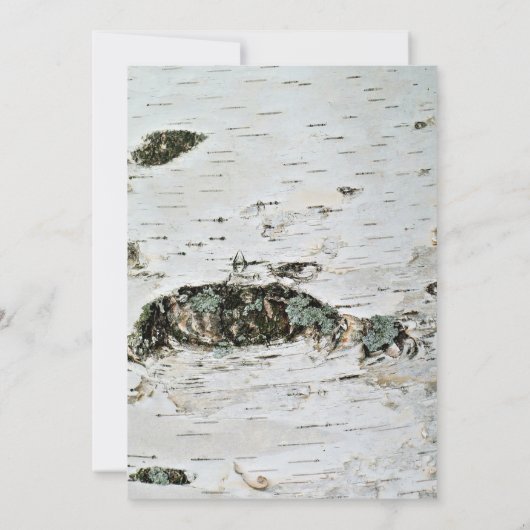 素朴樺の木バーク結婚の写真サンキューカード 招待状 (裏面)