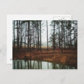 素朴池 ポストカード (正面/裏面)