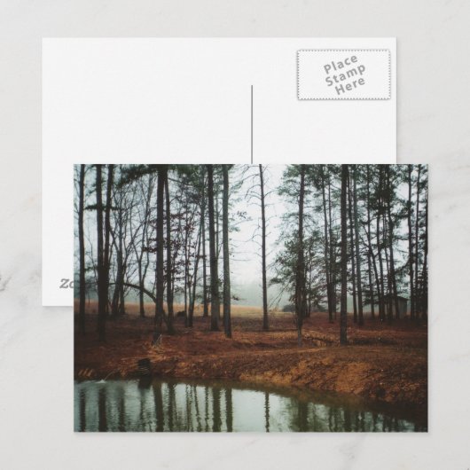 素朴池 ポストカード (正面/裏面)