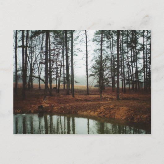 素朴池 ポストカード (正面)