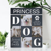 素朴石板犬メモリアル4写真 フォトプラーク