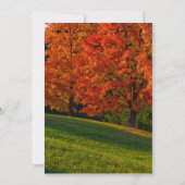 素朴秋の結婚式招待状 招待状 (裏面)