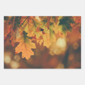 素朴紅葉ラッピング紙シート ラッピングペーパーシート (正面)