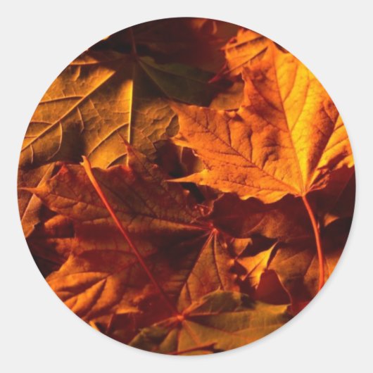 素朴紅葉結婚式招待状カスタムシール ラウンドシール (正面)