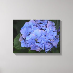 素朴紫紫陽花 キャンバスプリント