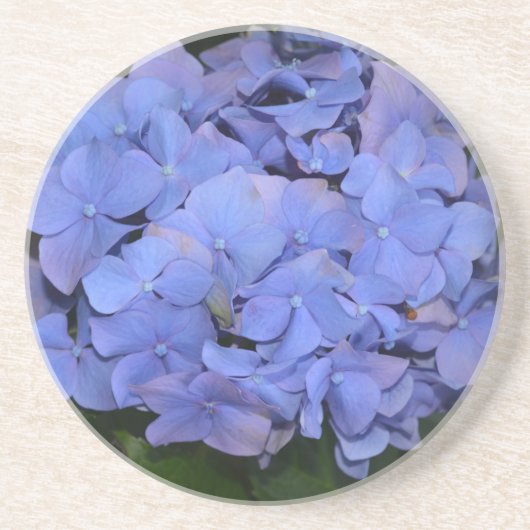 素朴紫紫陽花 コースター (正面)