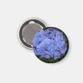 素朴紫紫陽花 マグネット (正面/裏面)