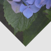 素朴紫紫陽花 薄葉紙 (詳細)