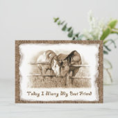 素朴結婚式招待状：ひっかかり：馬 招待状 (スタンド正面)