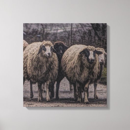 素朴羊の田舎道牧場ファーム群 キャンバスプリント (正面)