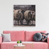 素朴羊の田舎道牧場ファーム群 キャンバスプリント (インサイチュ (リビング))