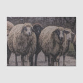 素朴羊の田舎道牧場ファーム群 薄葉紙 (正面)